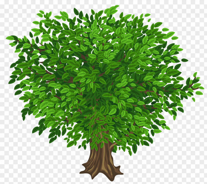 Green Tree Cliparts Clip Art PNG