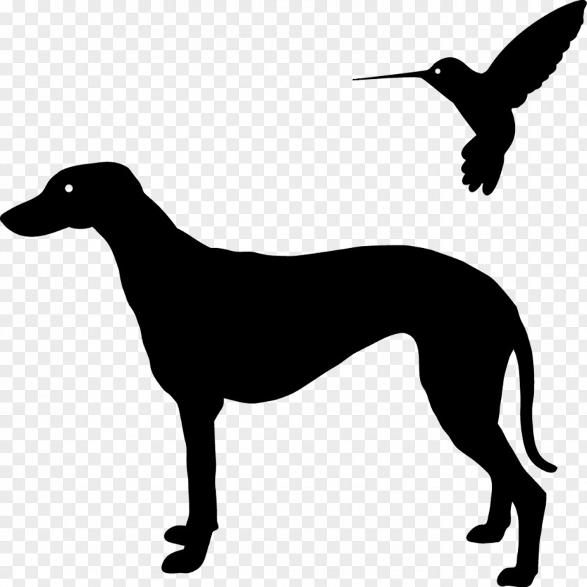 Hunting Dog Rare Breed Silhouette PNG
