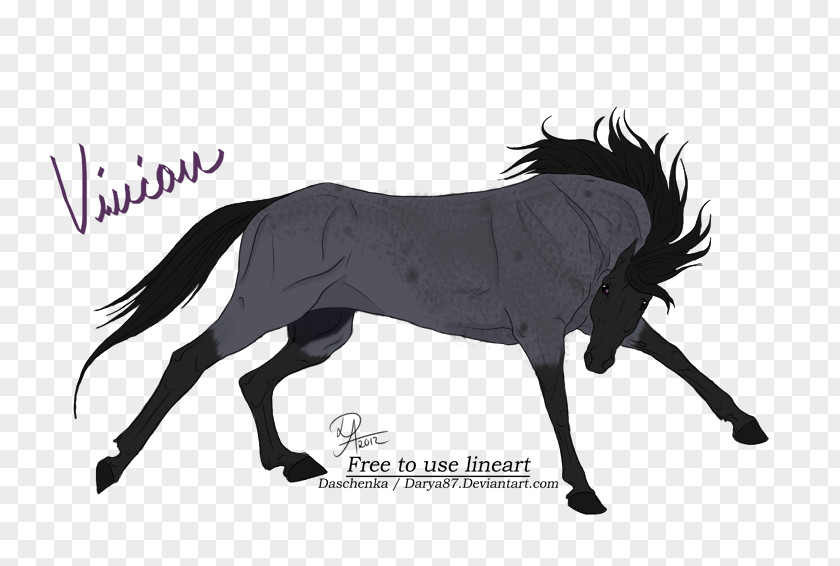 Overbearing Mustang Stallion Art Pony Mare PNG