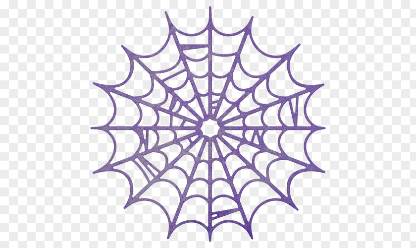 Spider Spider-Man Web PNG