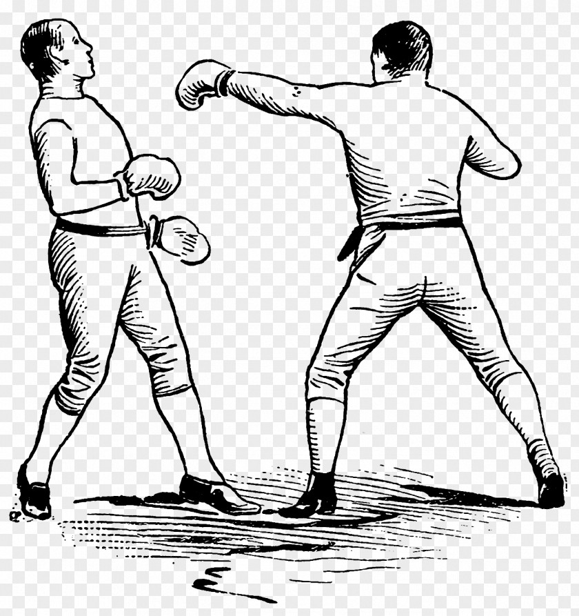 Boxing Line Art Athletics And Manly Sport Clip PNG