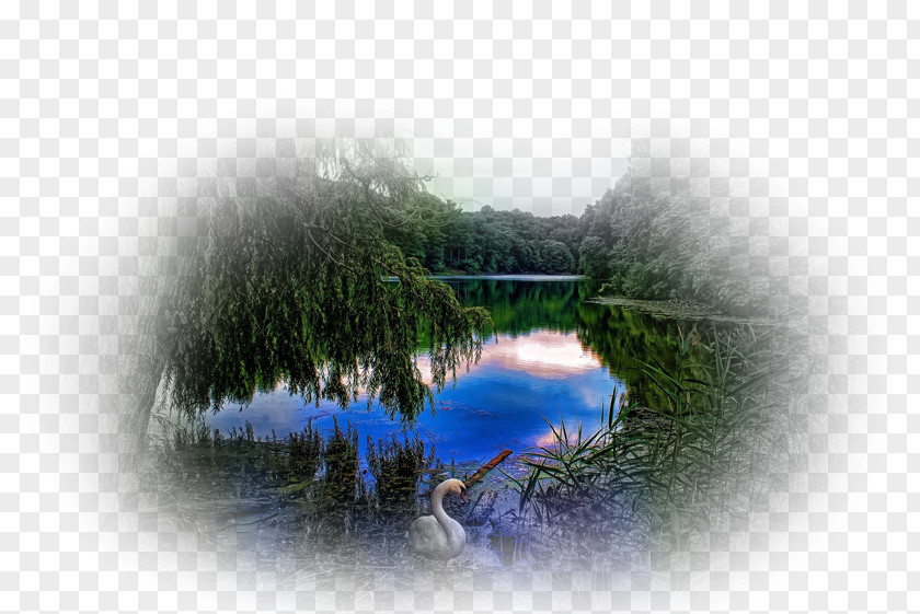 Desktop Wallpaper Landscape Painting Nature Metaphor PNG