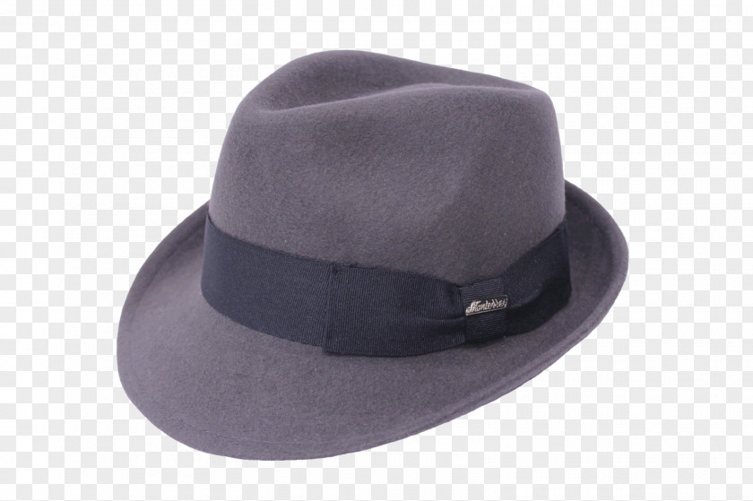 Fedora PNG