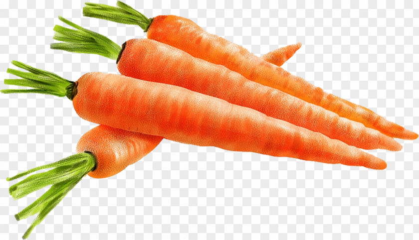 Hand-painted Carrot Baby Local Food Mirepoix Natural Foods PNG