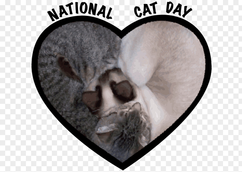 National Hugging Day International Cat Kitten World PNG