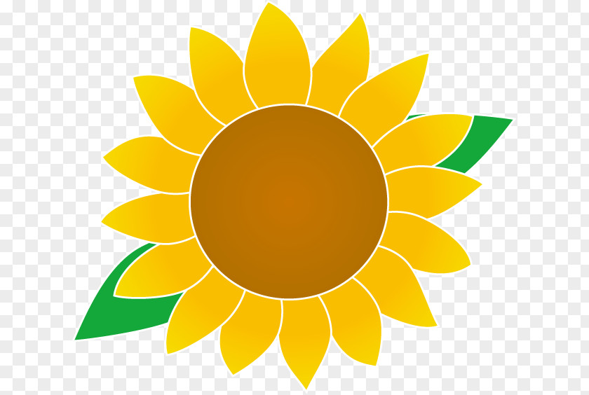 Royalty-free Common Sunflower PNG