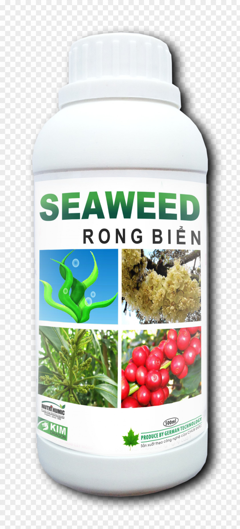 Seaweed Cosmetics Algae Dracontomelon Fruit Ingredient PNG