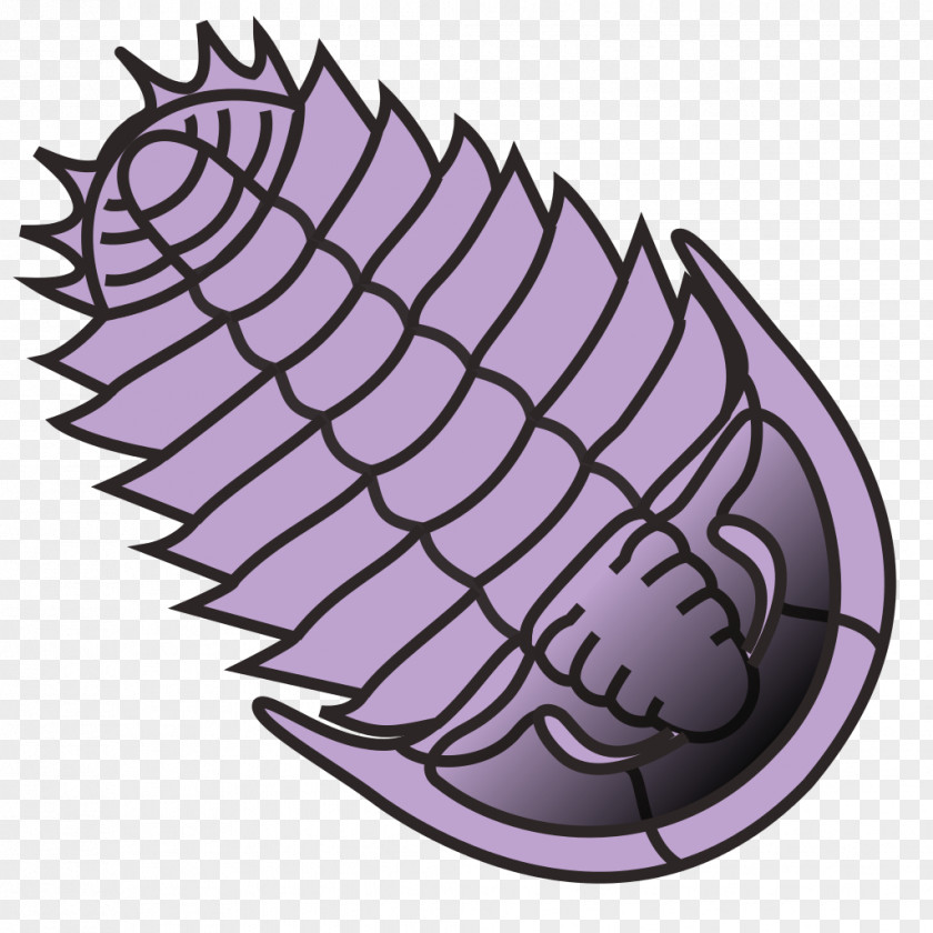 Trilobite Clip Art PNG