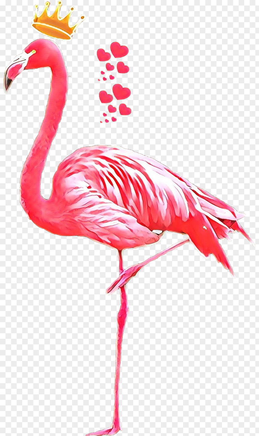 Bird Crane Beak Pink M PNG