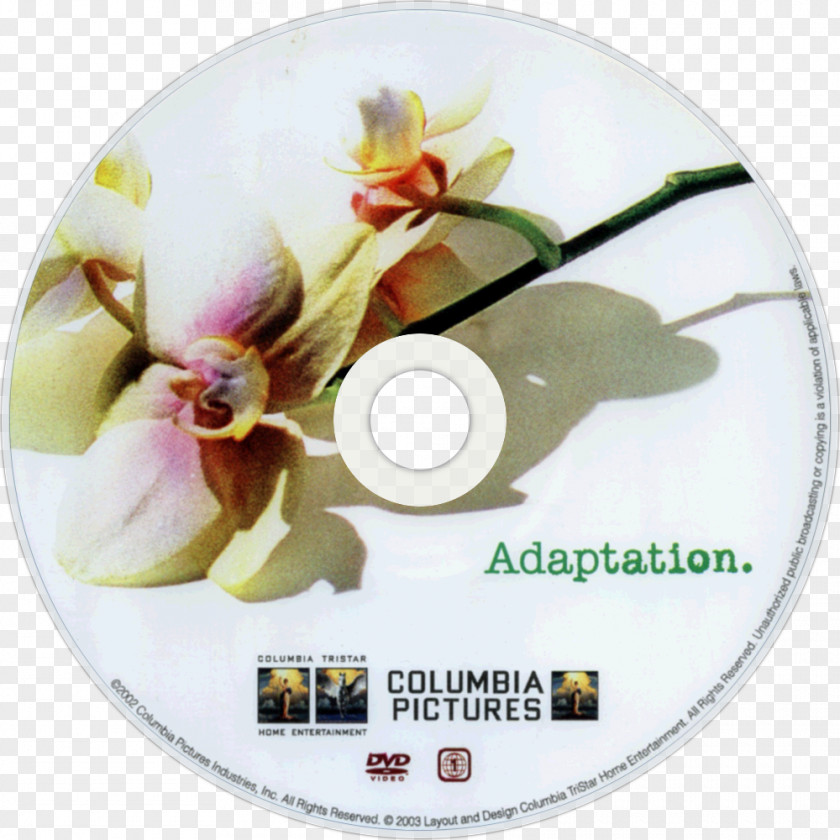 Dvd DVD Film Adaptation Photography Blu-ray Disc PNG