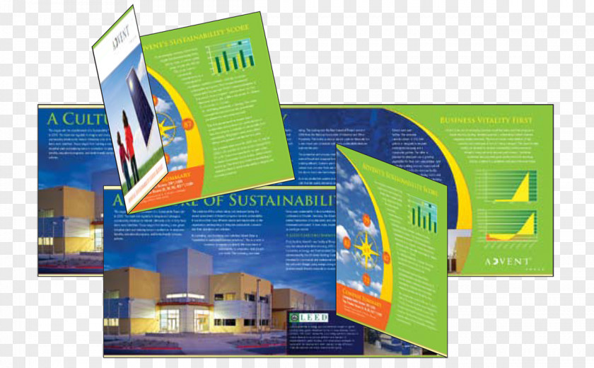 Graphic Design Brochure Advertising PNG