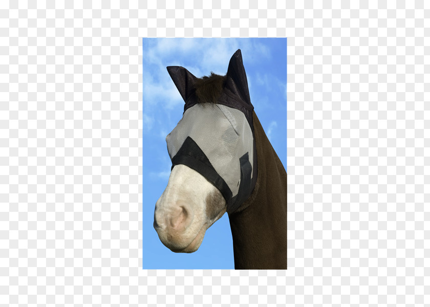 Horse Halter Fly Mask PNG