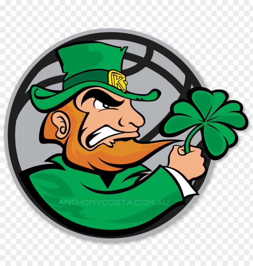 Irish Northern Ireland Logo Sport PNG