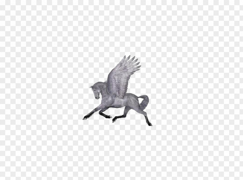 Pegasus Horse Euclidean Vector PNG