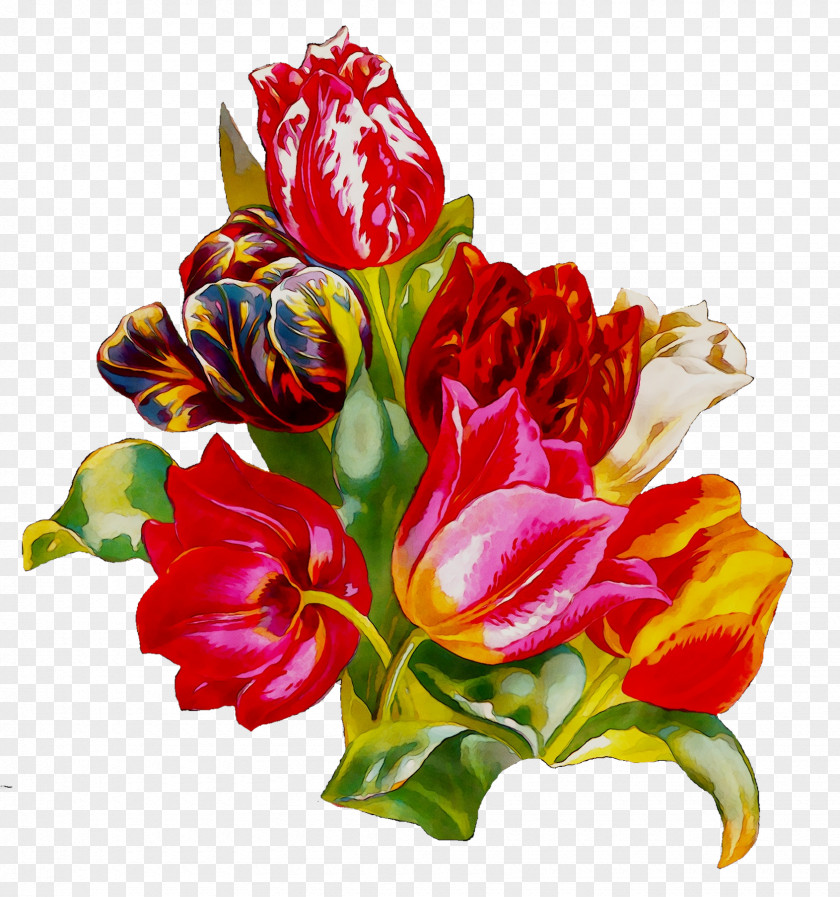 Tulip Floral Design Cut Flowers Clip Art PNG