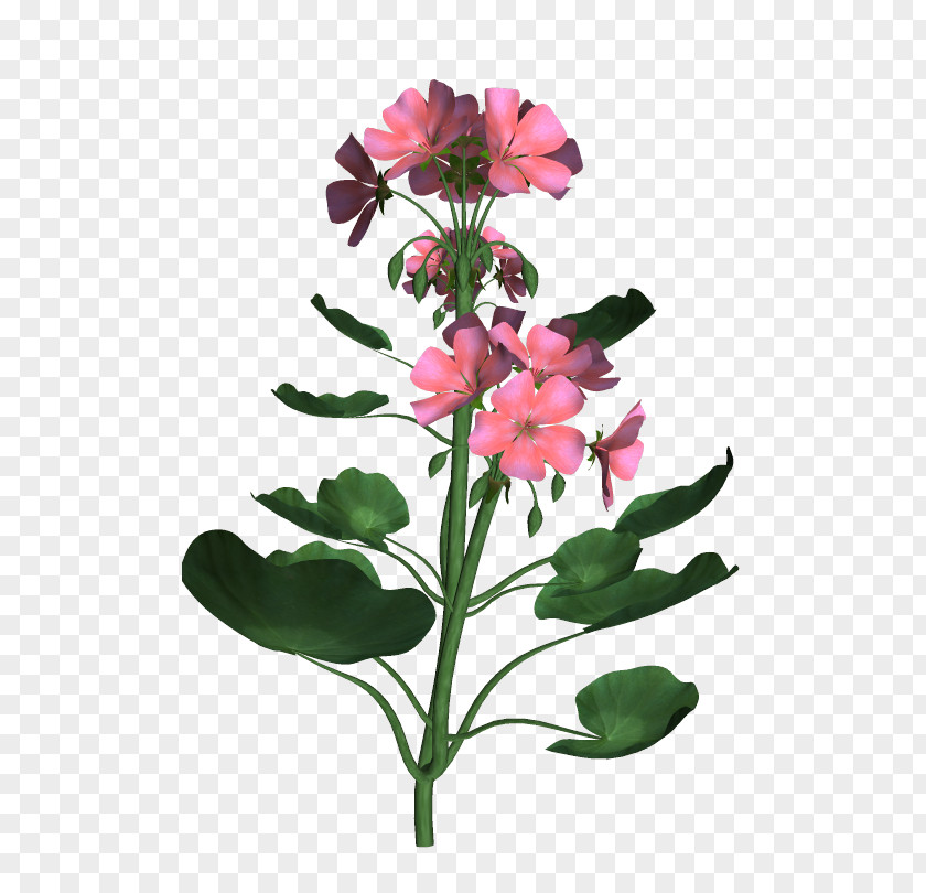 3d Floral Lily Of The Incas Design Cut Flowers Herbaceous Plant Stem PNG