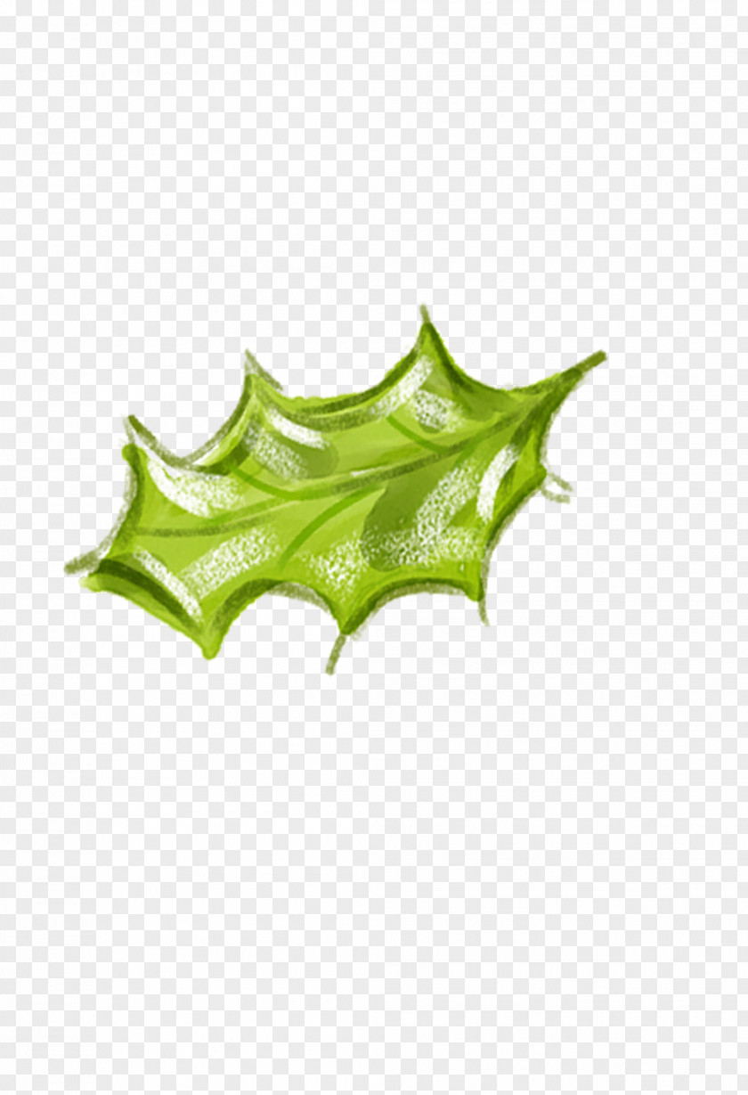 Creative Christmas Leaves Leaf Euclidean Vector Material High-definition Television PNG