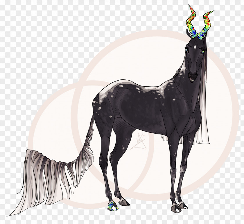 Dream Unicorn Stallion Drawing Horse Pony Foal PNG
