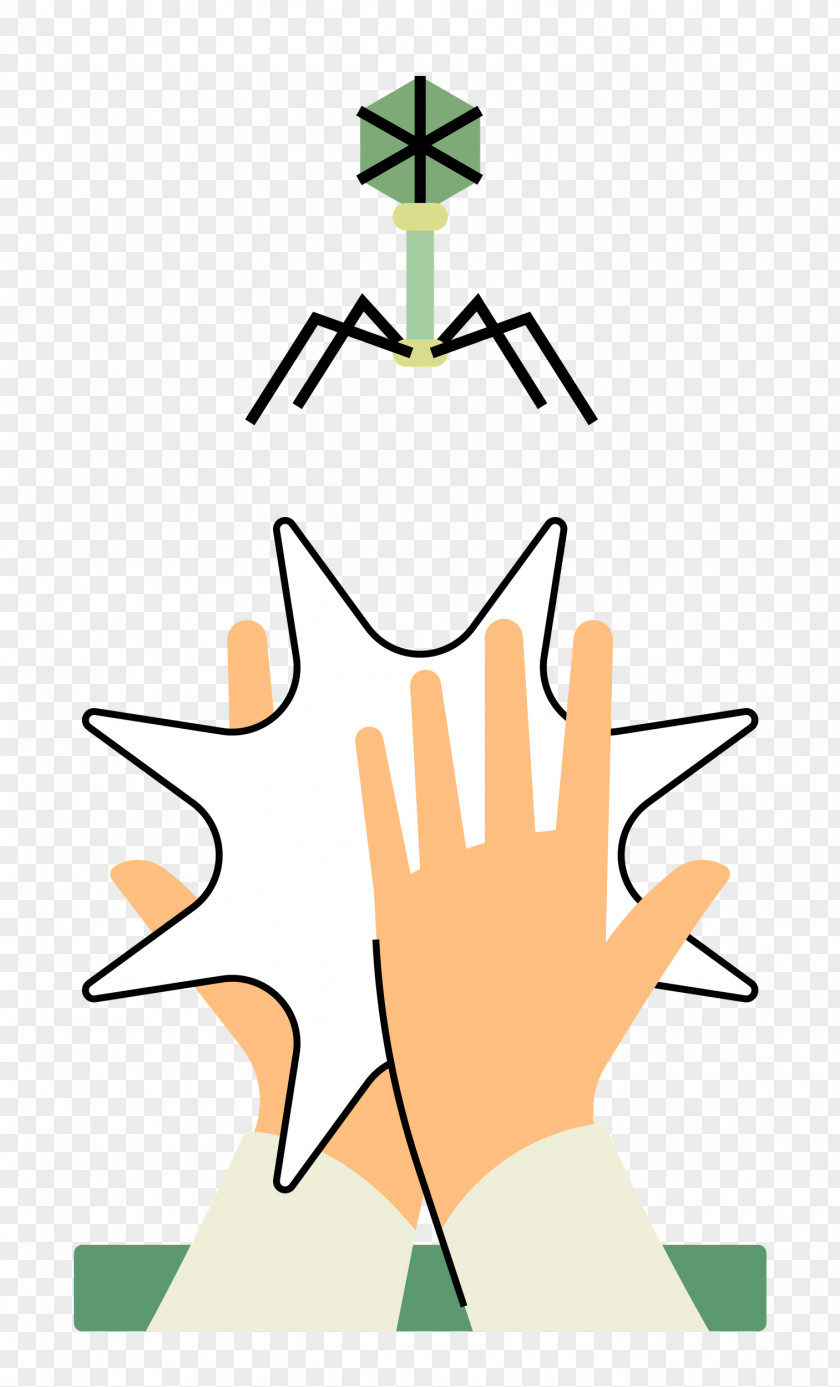 Hand Hold Up PNG