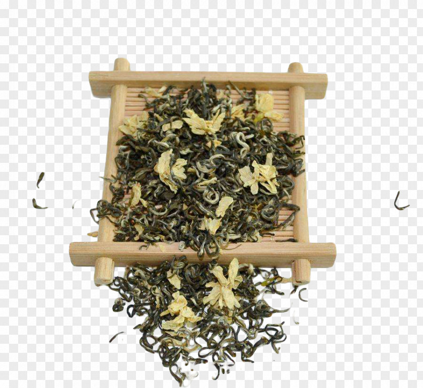 Jasmine Tea Samples Green White Flowering Jasminum Officinale PNG