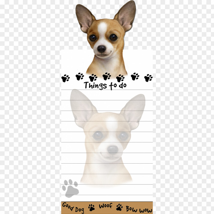 Puppy Chihuahua Toy Fox Terrier Yorkshire West Highland White PNG