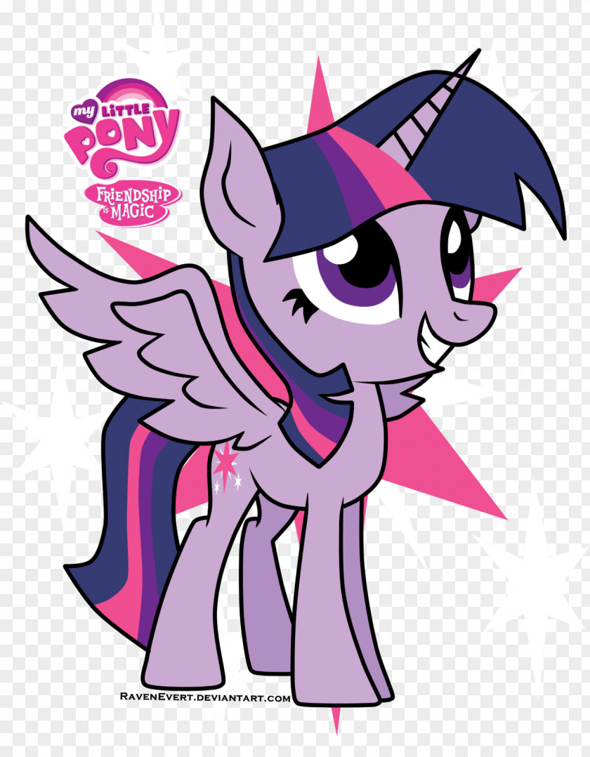 Rave Vector Pony Twilight Sparkle Princess Cadance Derpy Hooves Equestria PNG