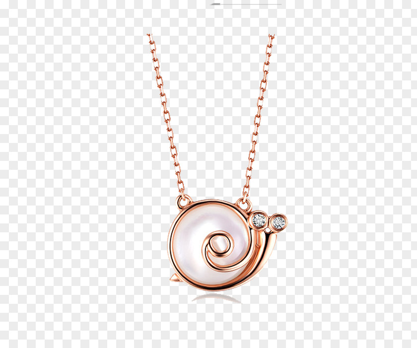Snail Necklace Earring Jewellery Pendant Online Shopping PNG