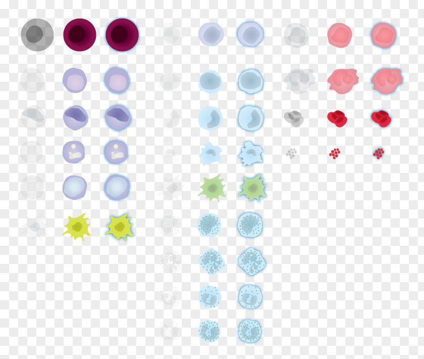 Sprite Hematopoietic Stem Cell Haematopoiesis PNG