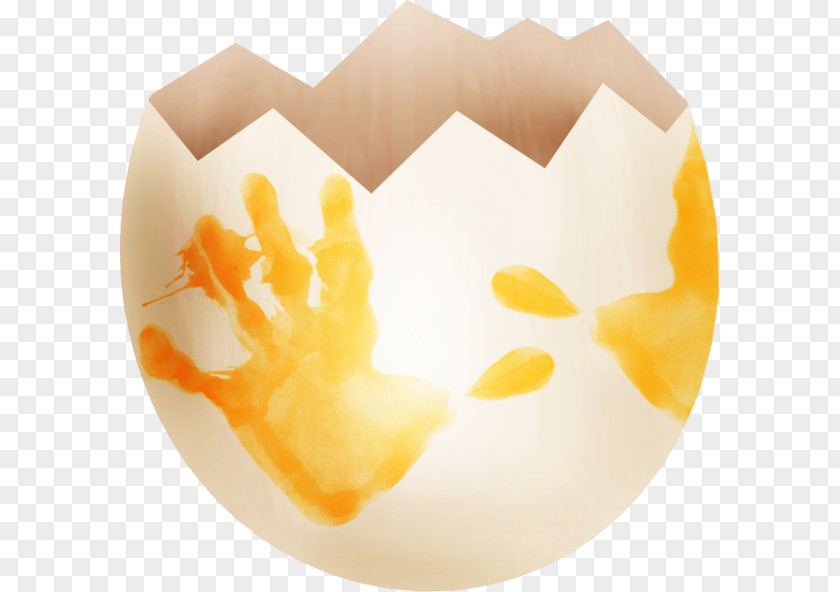 Broken Eggs Eggshell Huevos Estrellados PNG