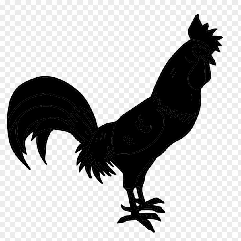 Rooster Fauna Beak Chicken As Food Feather PNG