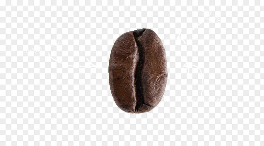 Specialty Coffee Fur PNG