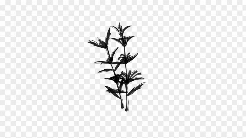 Twig Plant Stem Flower Leaf Line PNG