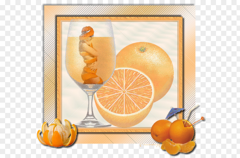 Orange Fruite Clementine Juice Valencia Still Life Photography Citric Acid PNG
