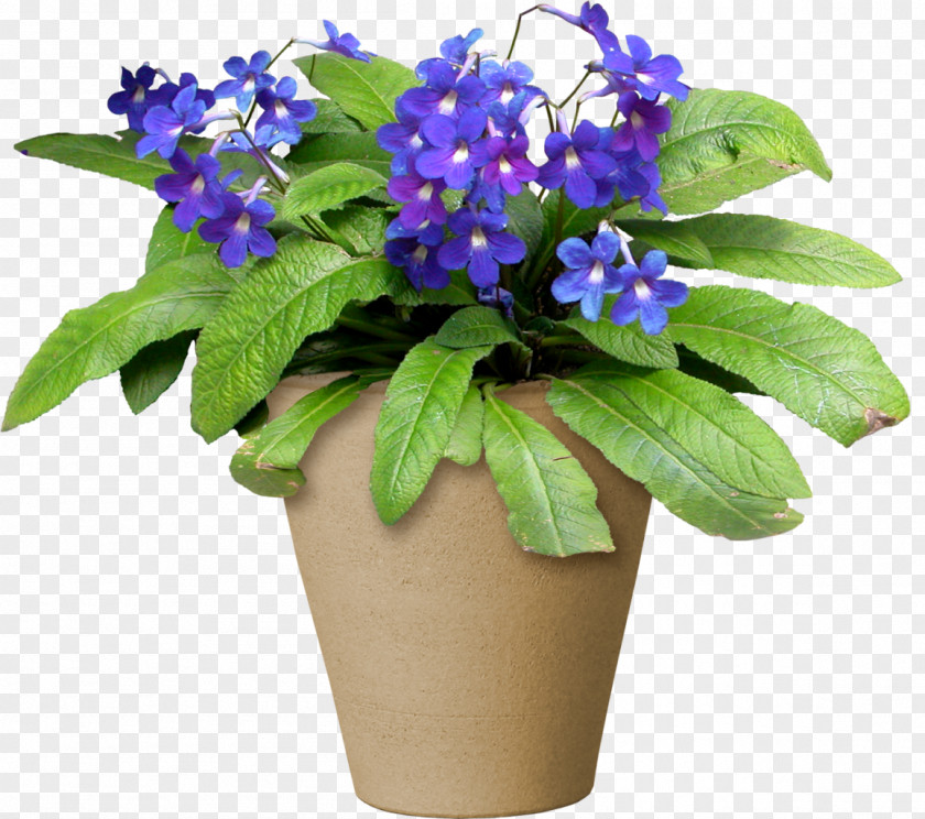 Potted Plant Flowerpot Light Clip Art PNG