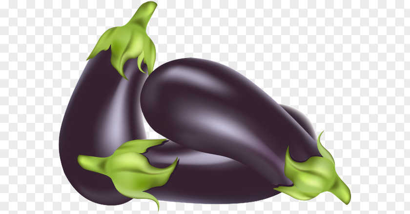 Vegetable Eggplant Fruit Clip Art PNG