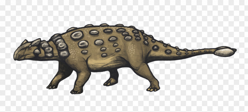 Dinosaur Ankylosaurus Stegosaurus Hadrosaurus Pachycephalosaurus PNG