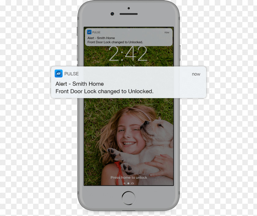 Glass Break Detector Smartphone Multimedia Electronics Animal Text Messaging PNG
