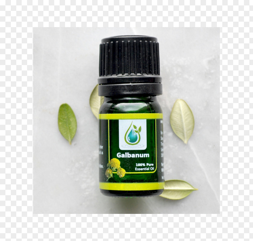 Jade Bottle Essential Oil Galbanum Liquid Plant PNG