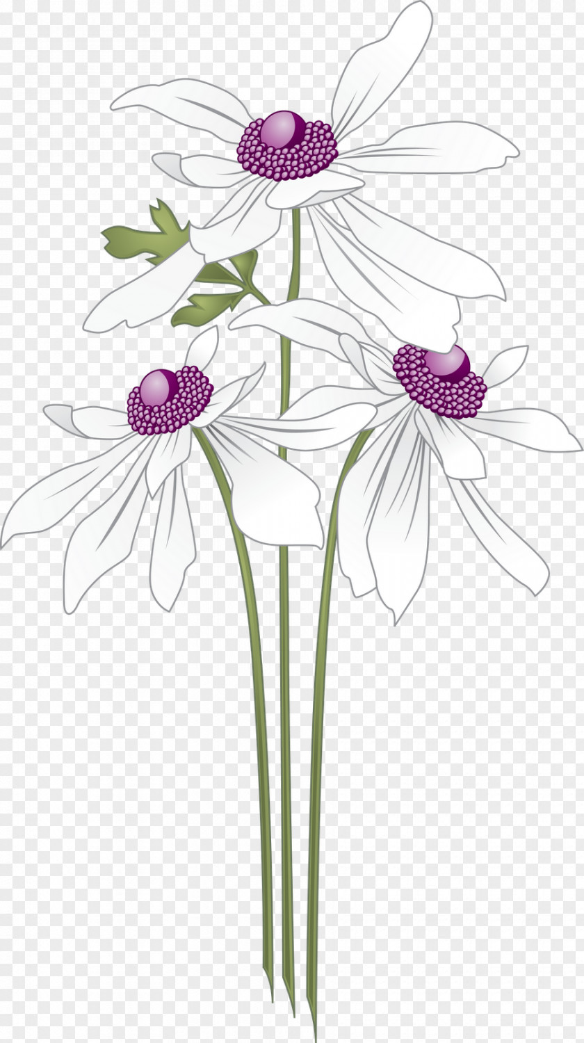 VECTOR FLOWERS PNG