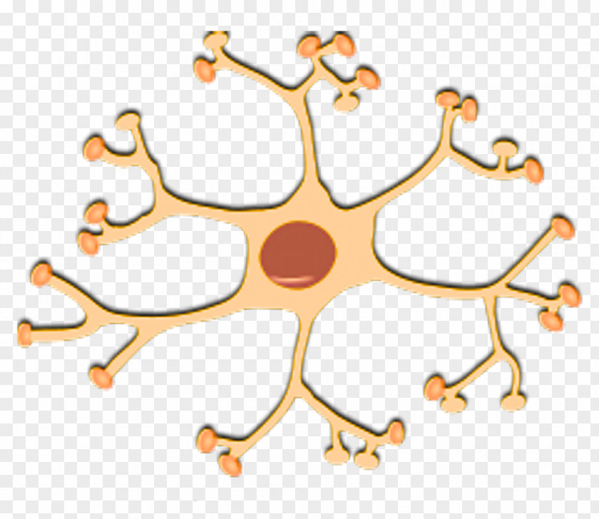 VETORES Nerve Interneuron Nervous System Clip Art PNG