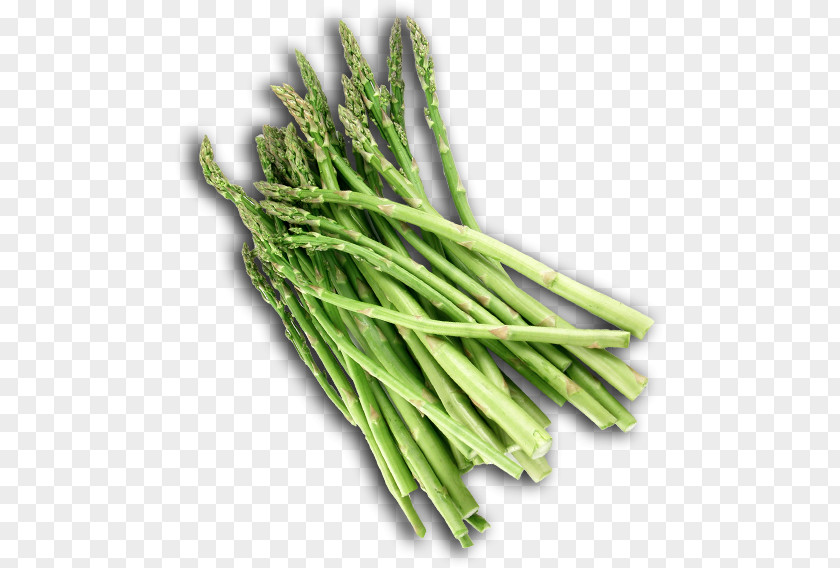 Prussian Asparagus Grass Green Background PNG