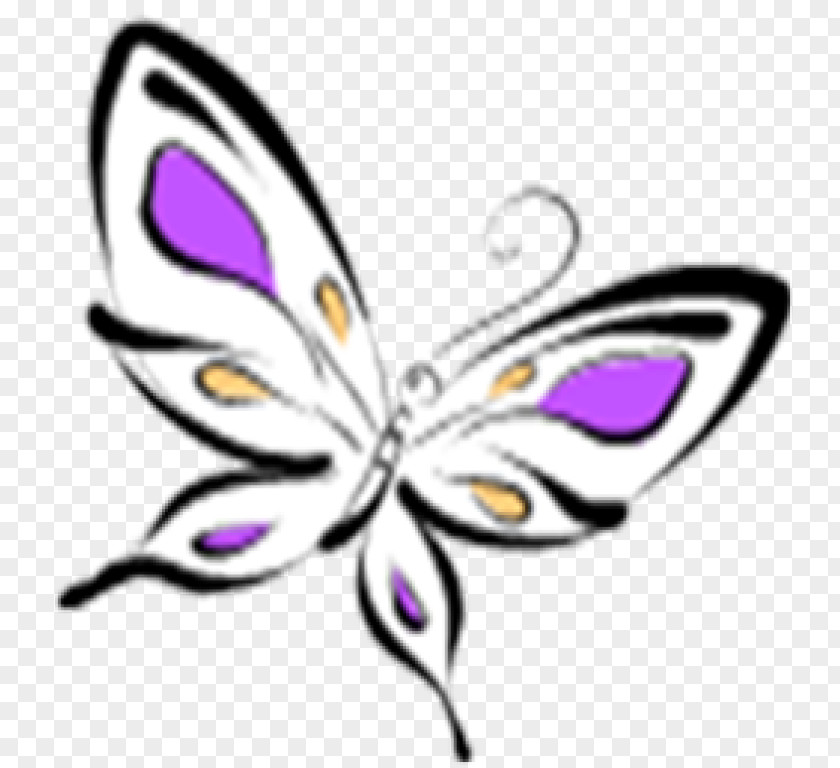 Butterfly Drawing Clip Art PNG