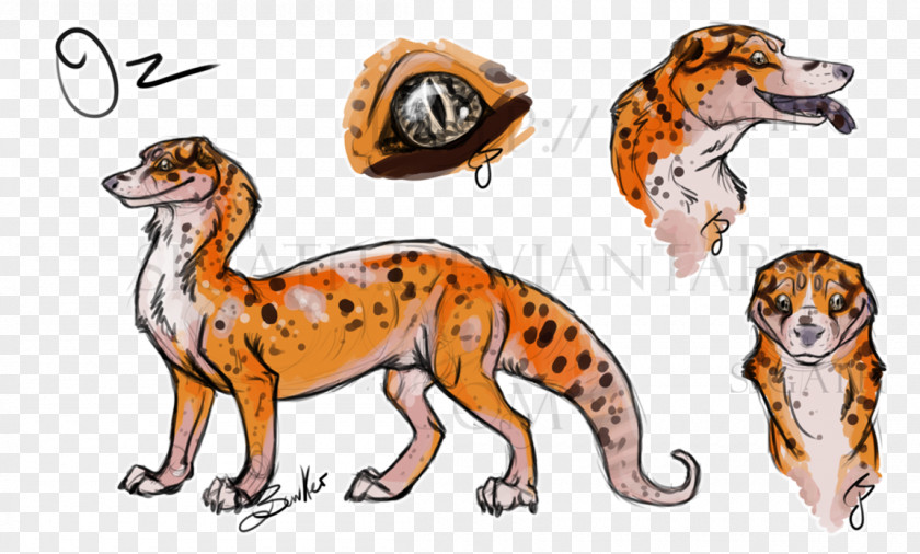 Cat Cheetah Tiger Dog Canidae PNG