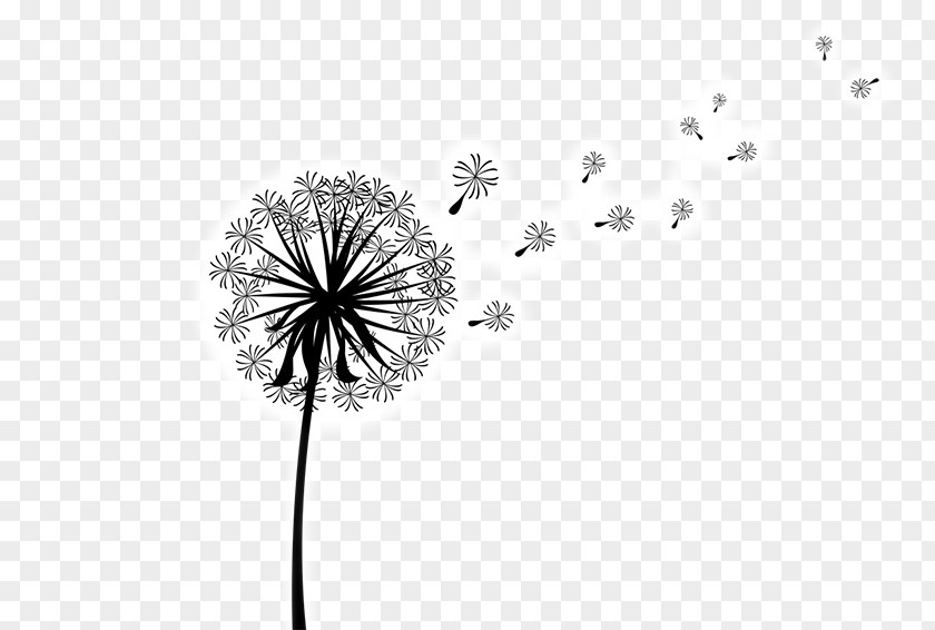 Dandelion Clip Art Image Vector Graphics Coffee PNG