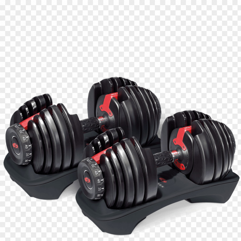 Dumbbell Bowflex Weight Training Strength Physical Exercise PNG