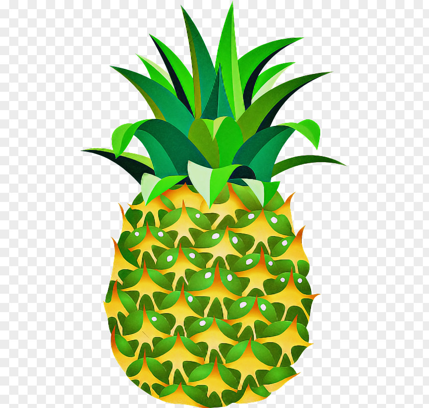 Perennial Plant Flowering Pineapple PNG