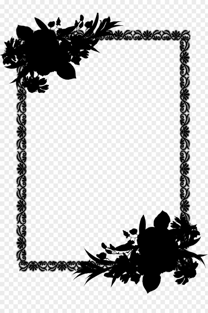 Picture Frames Graphics Pattern Flower Font PNG