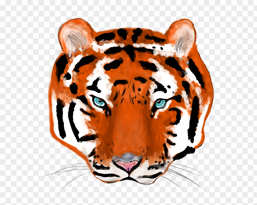 Tiger Whiskers Snout Cat Font PNG