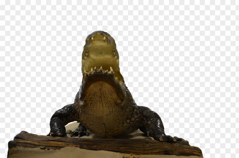 Alligator Reptile Sculpture PNG
