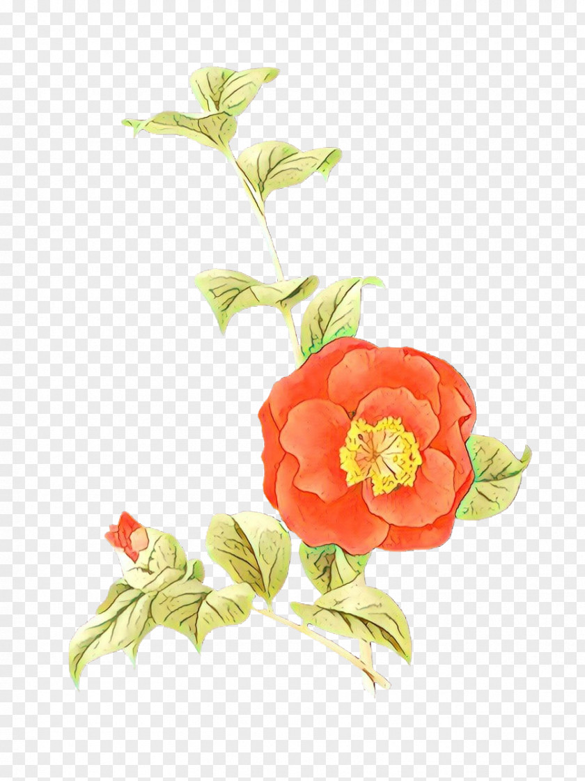 Artificial Flower Impatiens Watercolor Background PNG